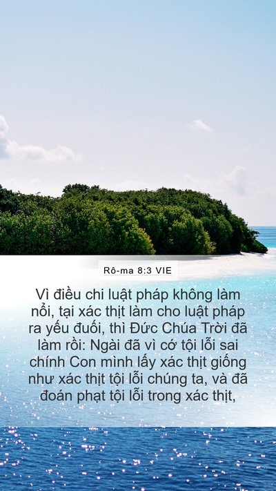Rô-ma 8:3 VIE Bible Verse Image