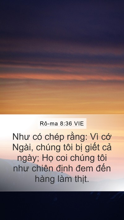 Rô-ma 8:36 VIE Bible Verse Image