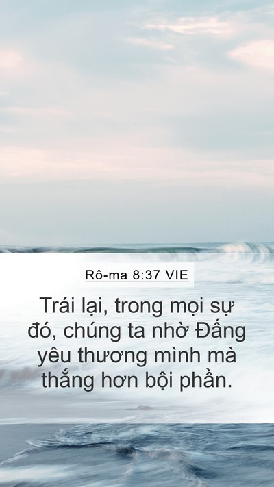 Rô-ma 8:37 VIE Bible Verse Image