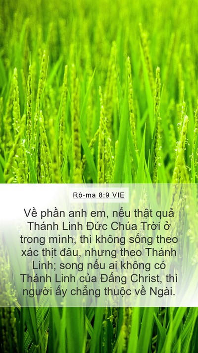 Rô-ma 8:9 VIE Bible Verse Image