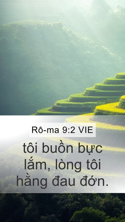 Rô-ma 9:2 VIE Bible Verse Image