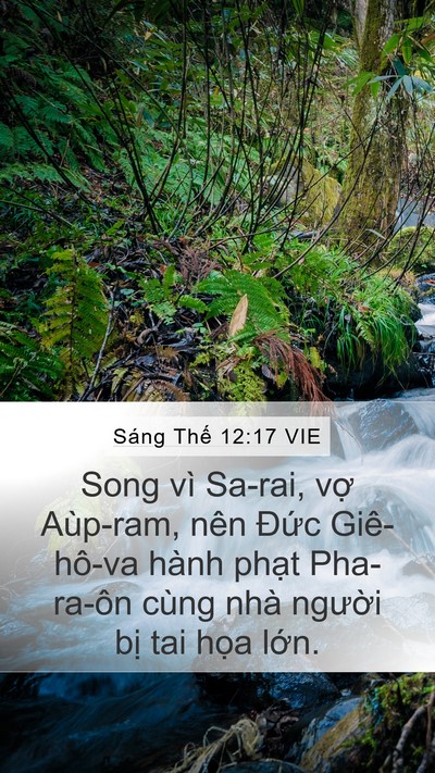Sáng Thế 12:17 VIE Bible Verse Image