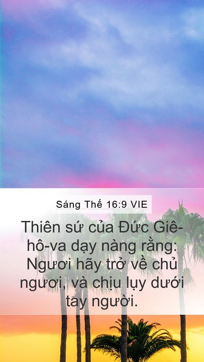Sáng Thế 16:9 VIE Bible Verse Image