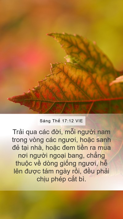 Sáng Thế 17:12 VIE Bible Verse Image