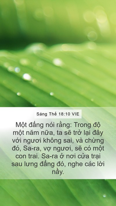 Sáng Thế 18:10 VIE Bible Verse Image