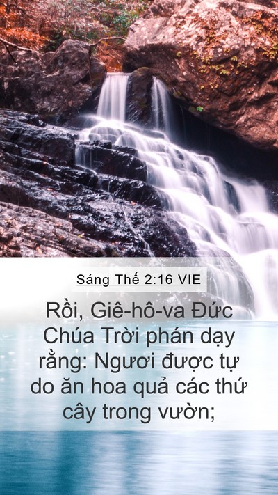 Sáng Thế 2:16 VIE Bible Verse Image