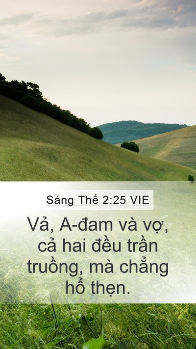 Sáng Thế 2:25 VIE Bible Verse Image