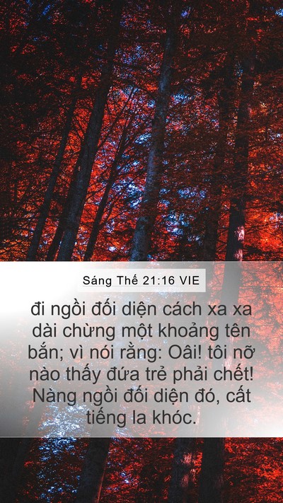 Sáng Thế 21:16 VIE Bible Verse Image