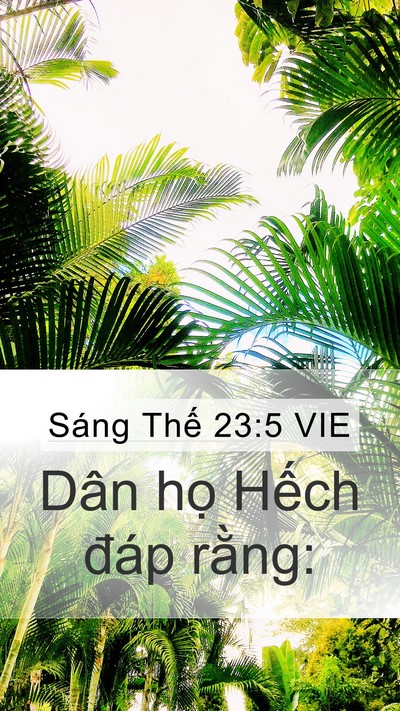 Sáng Thế 23:5 VIE Bible Verse Image