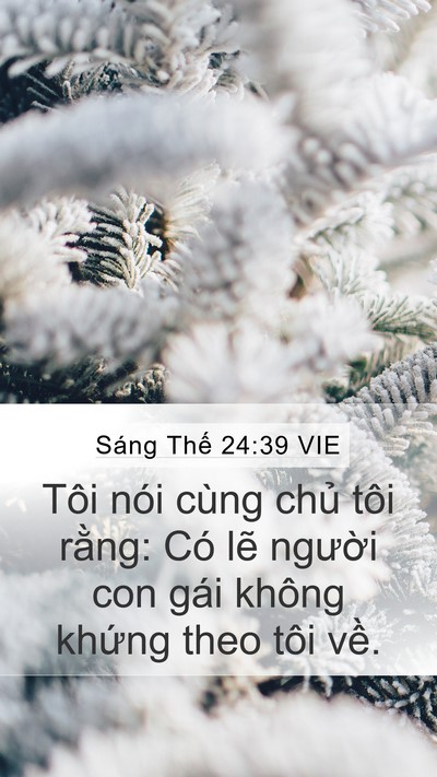 Sáng Thế 24:39 VIE Mobile Phone Wallpaper - Tôi nói cùng chủ tôi rằng: Có lẽ - Mobile Bible Verse Wallpaper