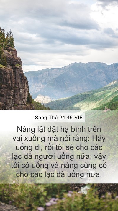 Sáng Thế 24:46 VIE Mobile Phone Wallpaper - Nàng lật đật hạ bình trên vai xuống - Mobile Bible Verse Wallpaper