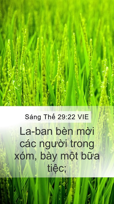 Sáng Thế 29:22 VIE Bible Verse Image