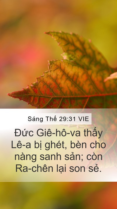 Sáng Thế 29:31 VIE Bible Verse Image