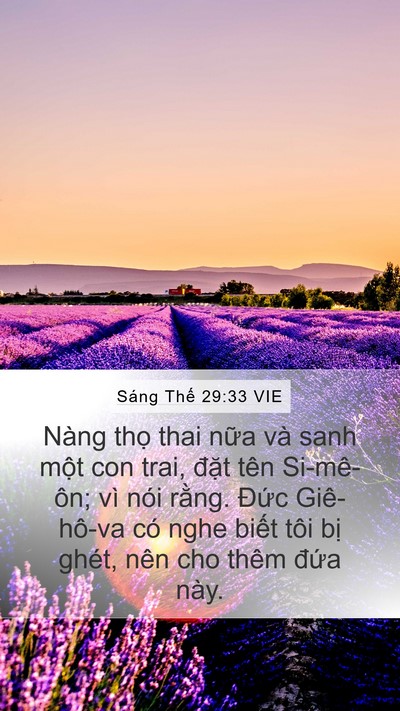 Sáng Thế 29:33 VIE Bible Verse Image