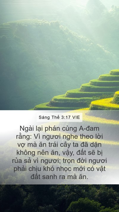 Sáng Thế 3:17 VIE Bible Verse Image