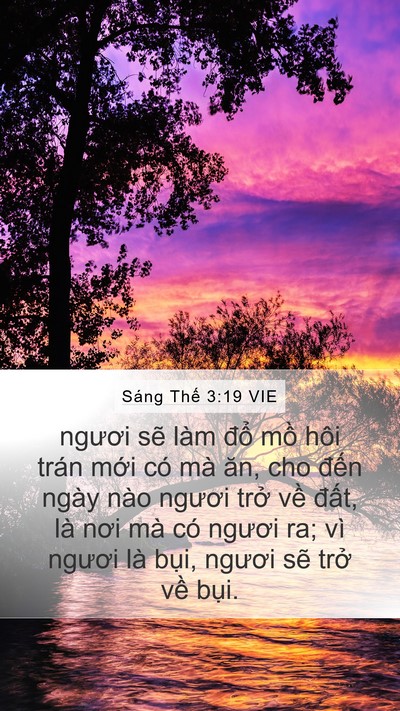 Sáng Thế 3:19 VIE Bible Verse Image
