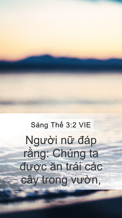 Sáng Thế 3:2 VIE Mobile Phone Wallpaper - Người nữ đáp rằng: Chúng ta được - Mobile Bible Verse Wallpaper