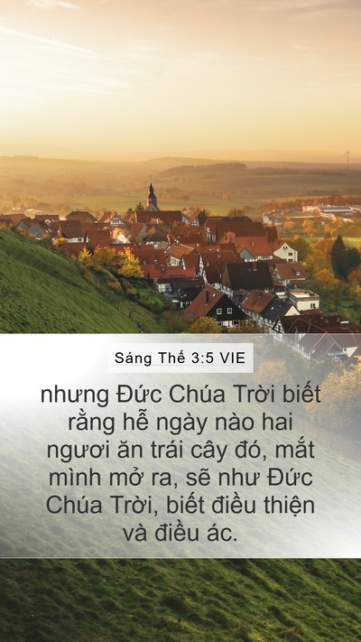 Sáng Thế 3:5 VIE Bible Verse Image