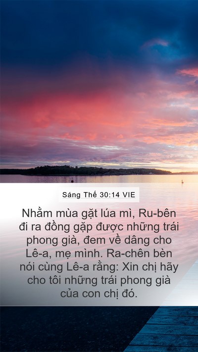 Sáng Thế 30:14 VIE Mobile Phone Wallpaper - Nhằm mùa gặt lúa mì, Ru-bên đi ra - Mobile Bible Verse Wallpaper