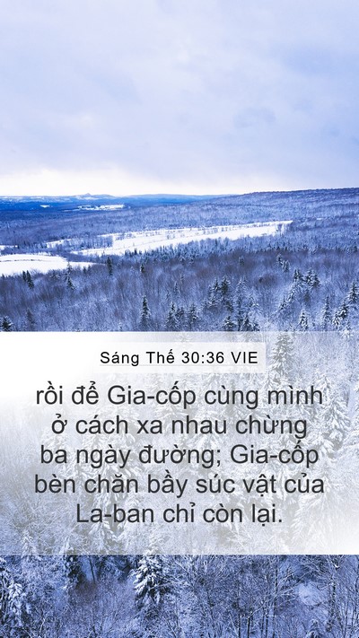 Sáng Thế 30:36 VIE Bible Verse Image