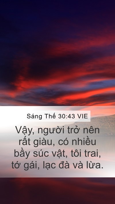 Sáng Thế 30:43 VIE Bible Verse Image