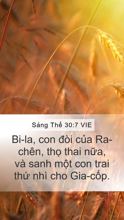 Sáng Thế 30:7 VIE Bible Verse Image