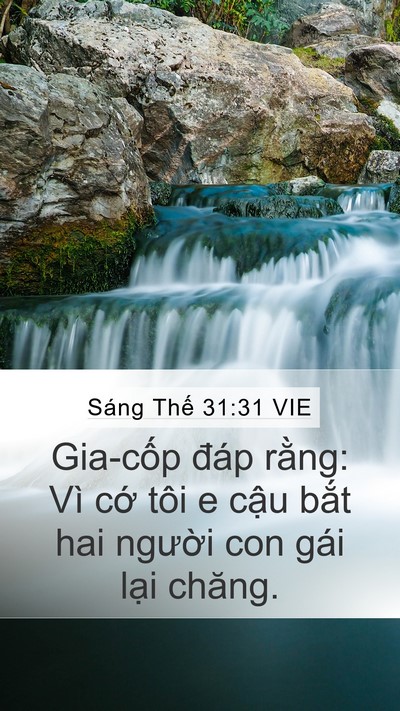 Sáng Thế 31:31 VIE Bible Verse Image