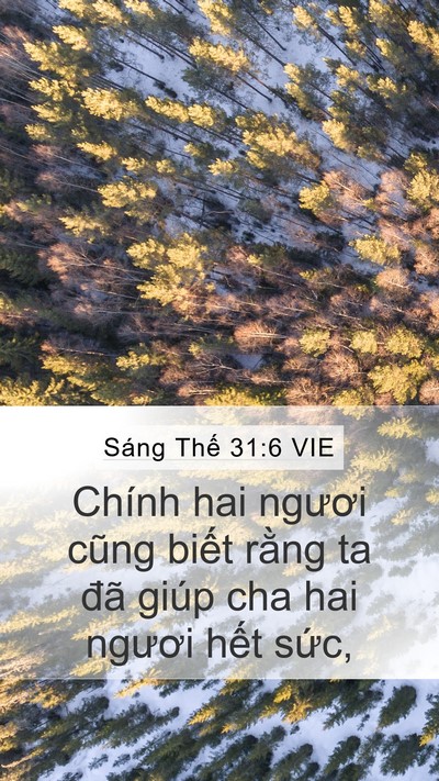 Sáng Thế 31:6 VIE Bible Verse Image
