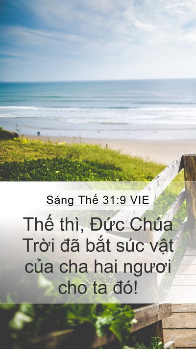 Sáng Thế 31:9 VIE Bible Verse Image