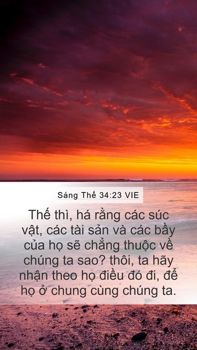Sáng Thế 34:23 VIE Mobile Phone Wallpaper - Thế thì, há rằng các súc vật, các tài - Mobile Bible Verse Wallpaper