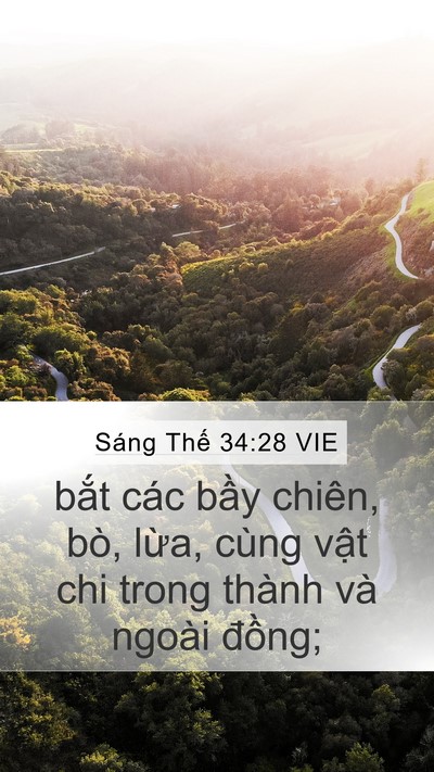 Sáng Thế 34:28 VIE Bible Verse Image
