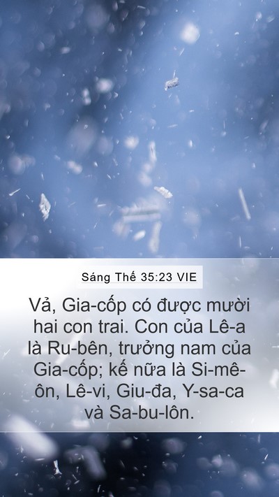 Sáng Thế 35:23 VIE Bible Verse Image
