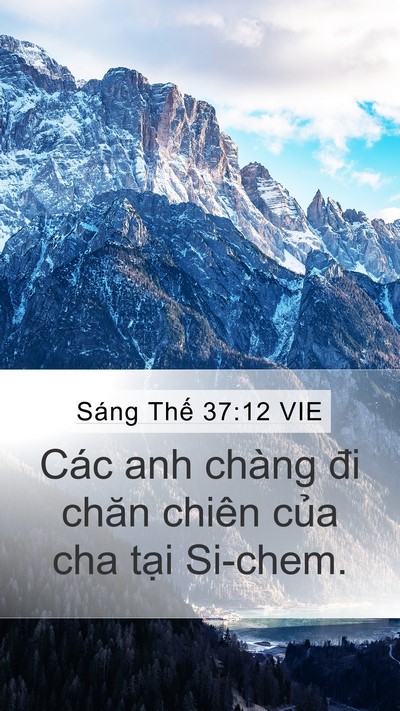 Sáng Thế 37:12 VIE Mobile Phone Wallpaper - Các anh chàng đi chăn chiên của cha tại - Mobile Bible Verse Wallpaper