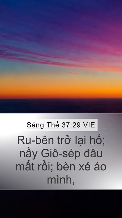 Sáng Thế 37:29 VIE Bible Verse Image