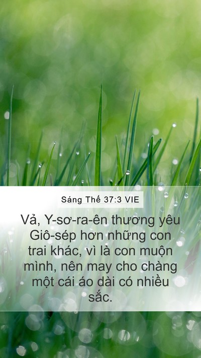 Sáng Thế 37:3 VIE Bible Verse Image