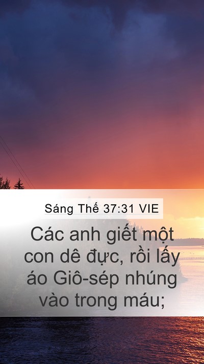 Sáng Thế 37:31 VIE Bible Verse Image
