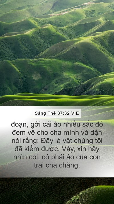 Sáng Thế 37:32 VIE Bible Verse Image