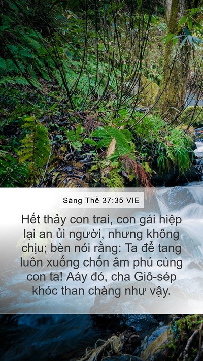 Sáng Thế 37:35 VIE Bible Verse Image