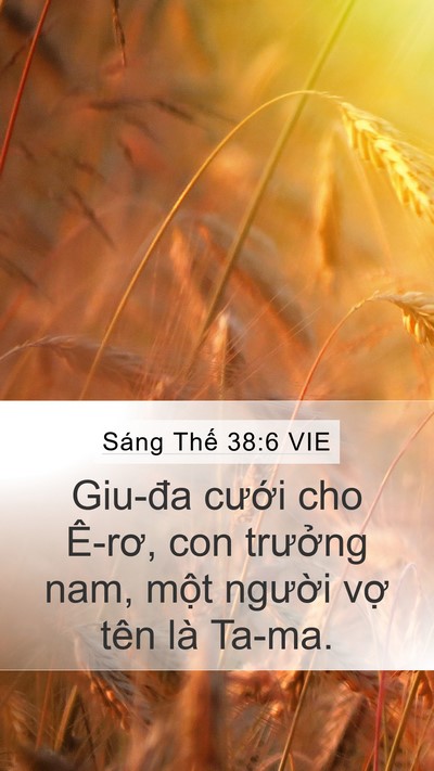 Sáng Thế 38:6 VIE Bible Verse Image