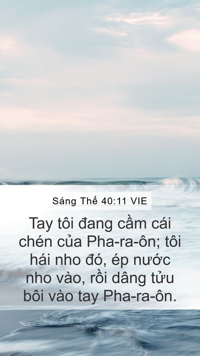 Sáng Thế 40:11 VIE Mobile Phone Wallpaper - Tay tôi đang cầm cái chén của Pha-ra-ôn; - Mobile Bible Verse Wallpaper