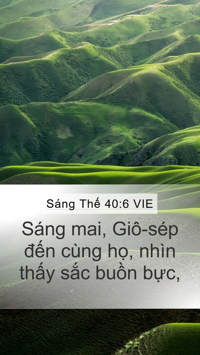 Sáng Thế 40:6 VIE Mobile Phone Wallpaper - Sáng mai, Giô-sép đến cùng họ, nhìn - Mobile Bible Verse Wallpaper