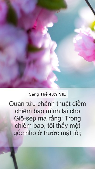 Sáng Thế 40:9 VIE Mobile Phone Wallpaper - Quan tửu chánh thuật điềm chiêm bao - Mobile Bible Verse Wallpaper