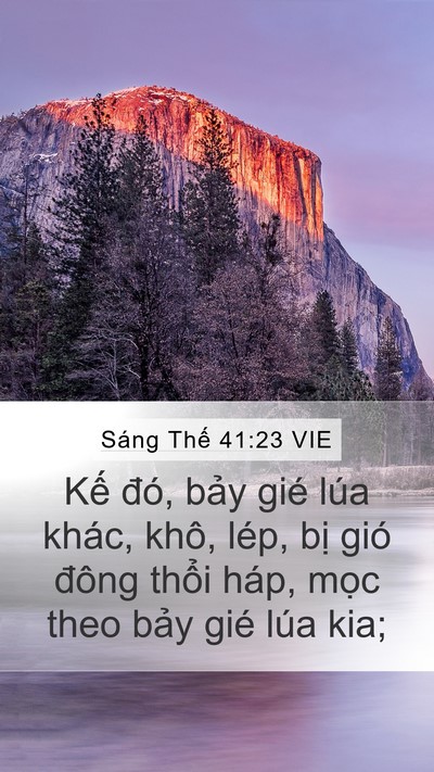 Sáng Thế 41:23 VIE Mobile Phone Wallpaper - Kế đó, bảy gié lúa khác, khô, lép, - Mobile Bible Verse Wallpaper