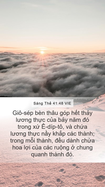 Sáng Thế 41:48 VIE Mobile Phone Wallpaper - Giô-sép bèn thâu góp hết thảy lương - Mobile Bible Verse Wallpaper