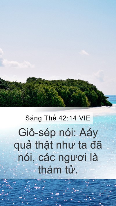 Sáng Thế 42:14 VIE Bible Verse Image