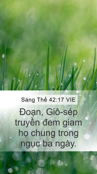 Sáng Thế 42:17 VIE Mobile Phone Wallpaper - Đoạn, Giô-sép truyền đem giam họ chung - Mobile Bible Verse Wallpaper