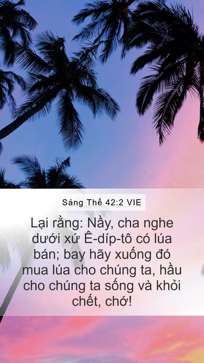 Sáng Thế 42:2 VIE Bible Verse Image