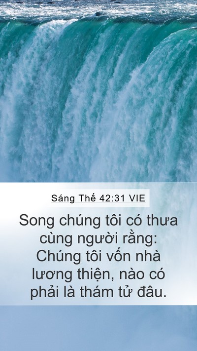 Sáng Thế 42:31 VIE Bible Verse Image