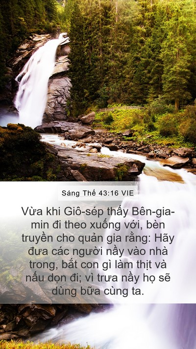 Sáng Thế 43:16 VIE Bible Verse Image
