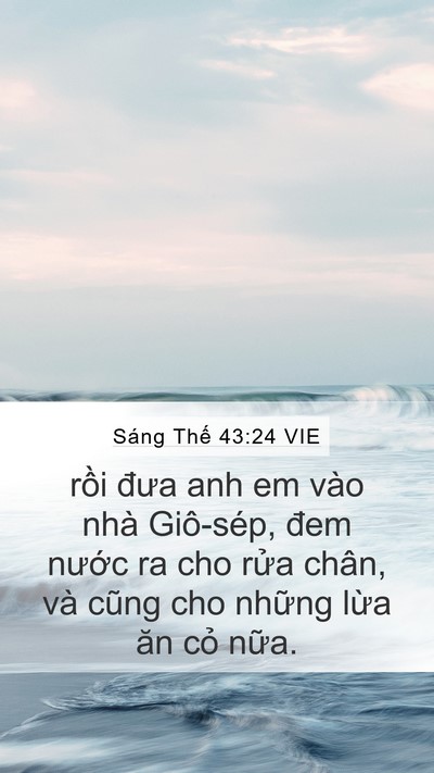 Sáng Thế 43:24 VIE Bible Verse Image